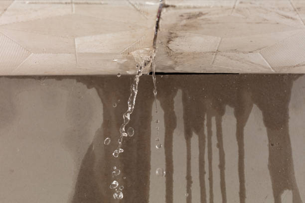 Professional Structural Drying technician working in Clyde, NY